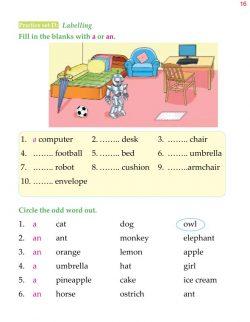 1st Grade Grammar Articles (7).jpg